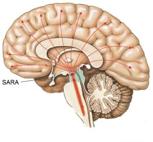 SARA